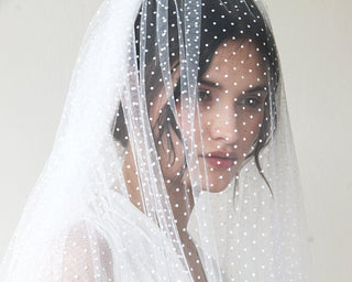 Wedding dots tulle Veil  #4019 Accessories Shoulder length Blushfashion LTD