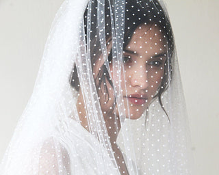 Wedding Dots Tulle Veil #4019 Accessories Shoulder length Blushfashion LTD